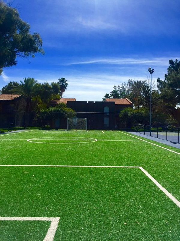 large-soccer-field-design-on-backyard