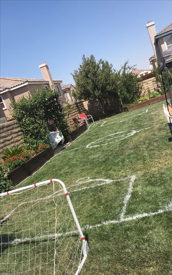small-soccer-field-on-the-backyard