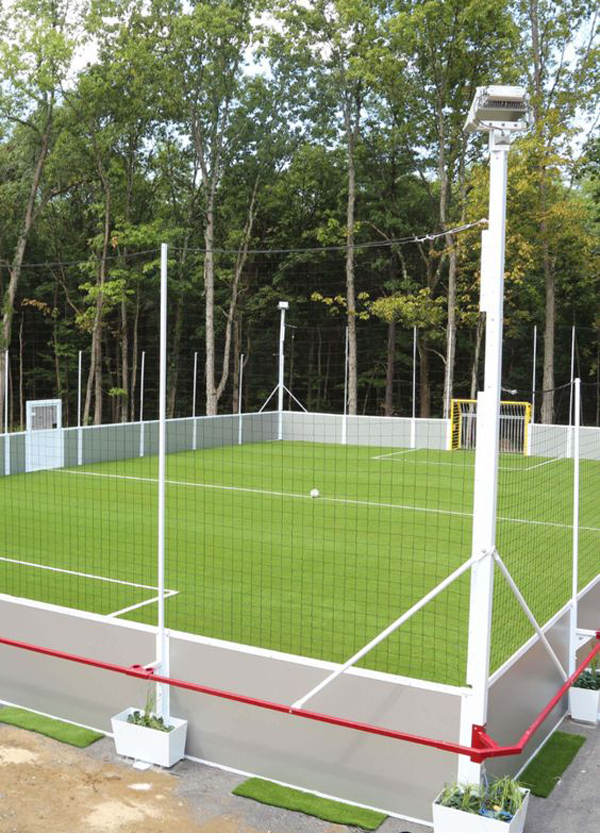 professional-soccer-field-on-backyard