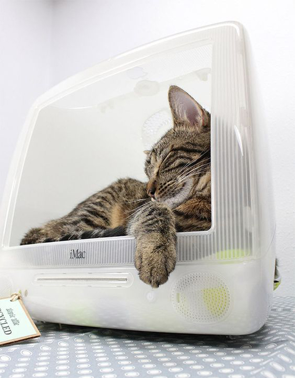 diy-old-imac-cat-bed-and-houses