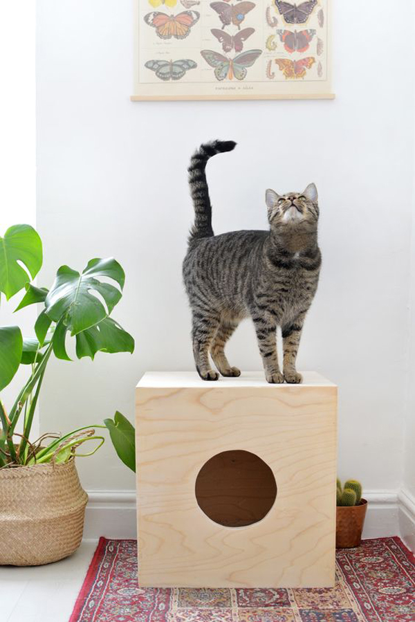 diy-plywood-cat-house