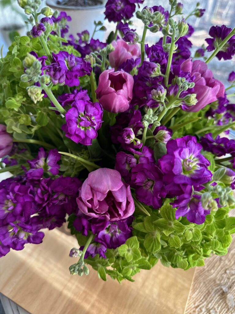 Beautiful green hydrangea, purple stock and purple tulips. 